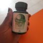 ishine capsule- green world